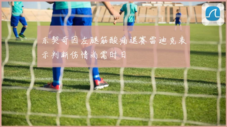 东契奇因左腿筋酸痛退赛雷迪克表示判断伤情尚需时日