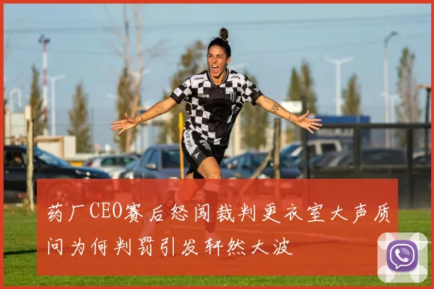 药厂CEO赛后怒闯裁判更衣室大声质问为何判罚引发轩然大波