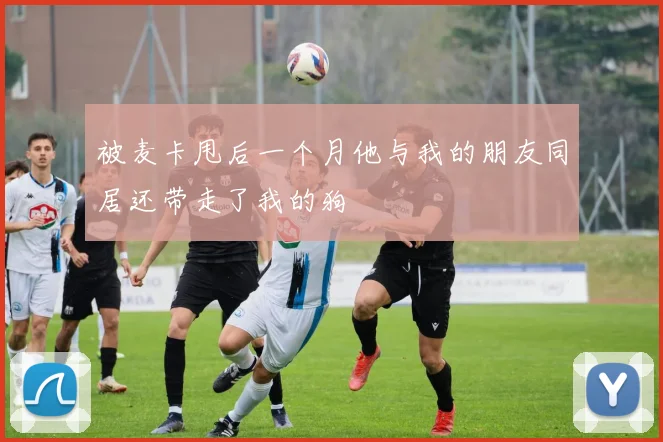 被麦卡甩后一个月他与我的朋友同居还带走了我的狗