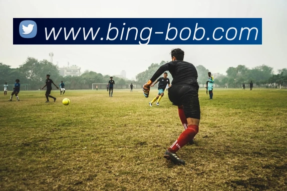 BOB体育APP 高清赛事图